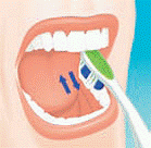 oralna2