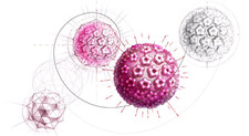 Humani papilomavirus (HPV) i rak vrata maternice