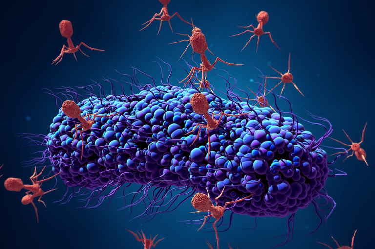 Crijevni bakteriofagi mogli bi biti uključeni u razvoj astme
