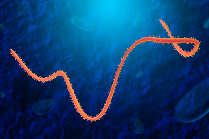 Epidemija Ebola virusne bolesti prijetnja za cijeli svijet