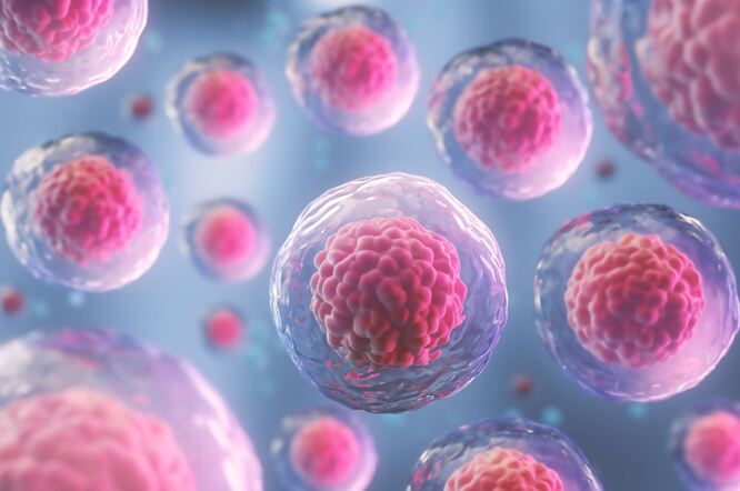 Terapija matičnim stanicama može usporiti multiplu sklerozu bolje od lijekova