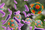 Hepatitis A