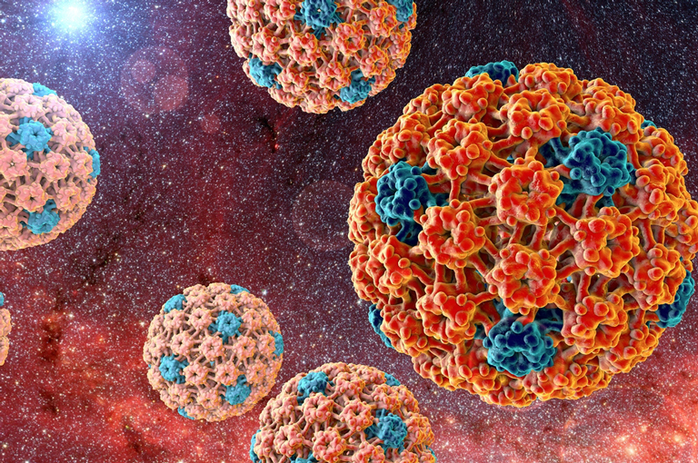 Što je humani papilomavirus (HPV)?