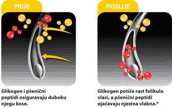 Fitoval2