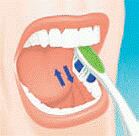 oralna2