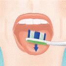 oralna3