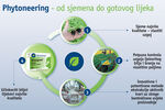 Phytoneeing-1