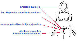 pot.implantx