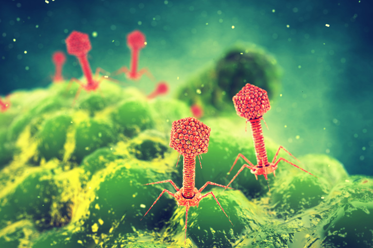 Bakteriofagi -  novi pristup liječenju atopijskog dermatitisa