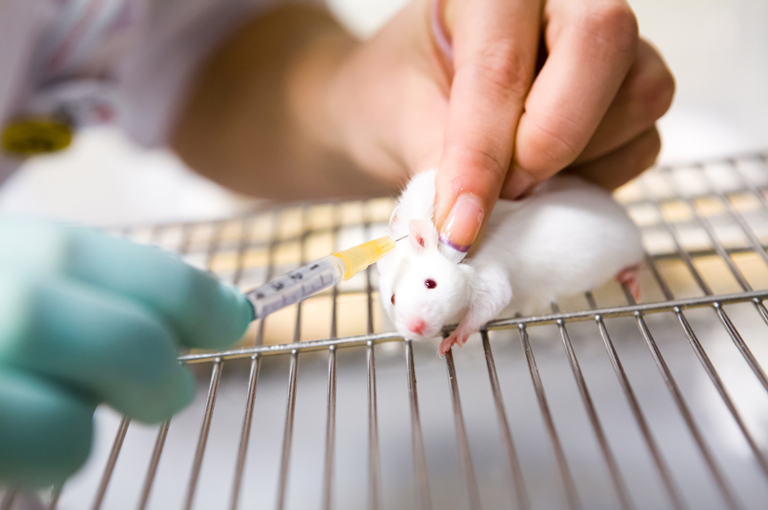 Cjepivo protiv  raka djeluje zapanjujuće dobro na miševima