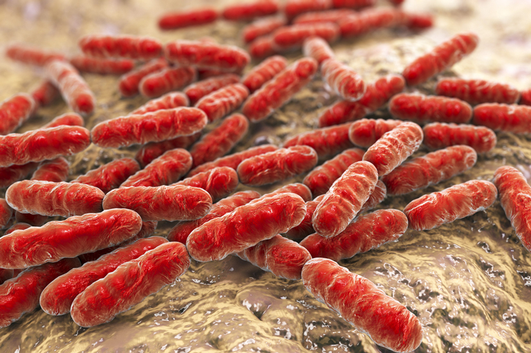 Crijevni mikrobiom ima važnu ulogu u zaštiti od toksičnosti arsena