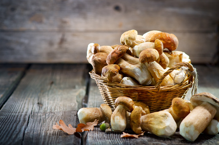 Dodavanjem gljiva prehrani može se povećati unos mikronutrijenata 