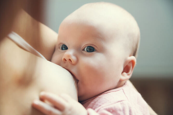 Dojenje povezano s velikim smanjenjem smrtnosti u dojenčadi