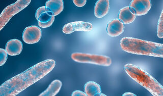 Dokazi povezuju promjene crijevnog mikrobioma s progresijom Alzheimerove bolesti