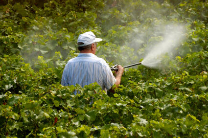 Dva pesticida povezana s rizikom od Parkinsonove bolesti