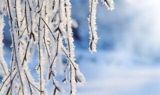 Ekstremna hladnoća povezana s naglim porastom smrtnih slučajeva povezanih sa srcem