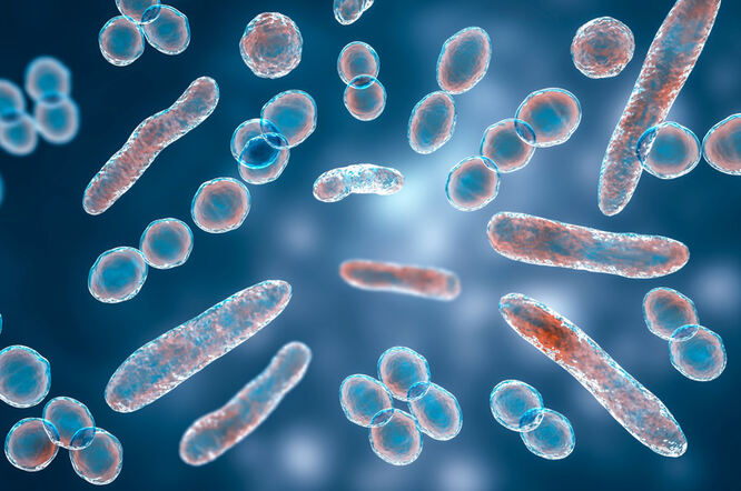 Enzim koji potječe iz crijevne mikrobiote ključan za održavanje homeostaze bilirubina