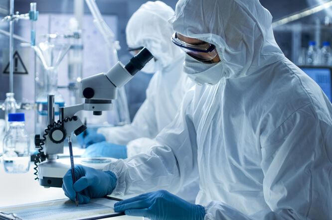 Fragment bakterijskog proteina korisin potiče plućnu fibrozu
