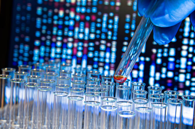 Gen TAK1 identificiran kao ključna kočnica imunoterapije raka