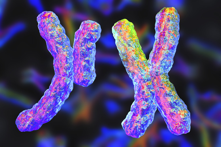 Gubitak Y kromosoma kod muškaraca može dovesti do smrtonosnog zatajivanja srca