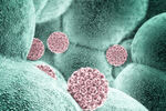 HPV infekcija povezana s udvostručenim rizikom od raka štitnjače