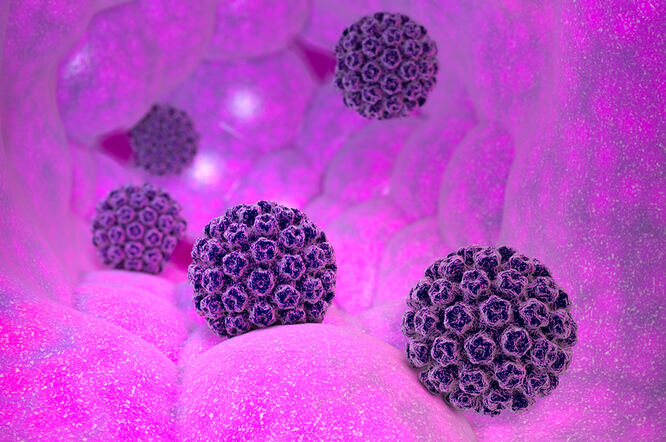 Humani papilomavirus može se širiti krvlju