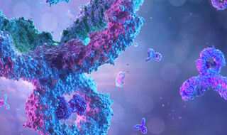 Imunološke stanice koriste neurotransmitere za regulaciju zdravlja i bolesti