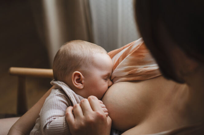 Imunološke stanice povezuju laktaciju s dugotrajnim zdravljem