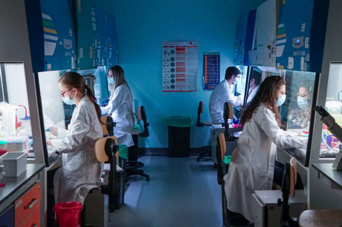 Imunoterapija trojanskim konjem izlaže tumore napadu imunološkog sustava