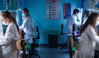 Imunoterapija trojanskim konjem izlaže tumore napadu imunološkog sustava