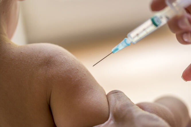 Intravenozna primjena BCG cjepiva pruža veću zaštitu od tuberkuloze