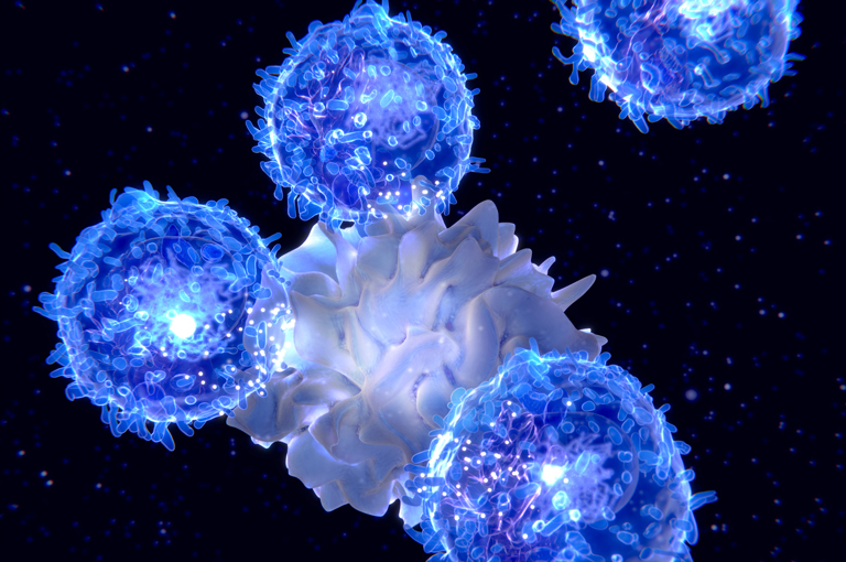 Ishodi preživljavanja raka gušterače povezani s rasporedom imunoloških stanica u tumorima