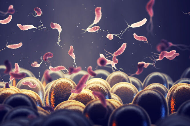 Izloženost bakteriji Helicobacter pylori povezana s jednim od pet slučajeva raka debelog crijeva
