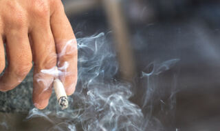 Izloženost dimu cigareta mijenja funkciju jajnika i testisa