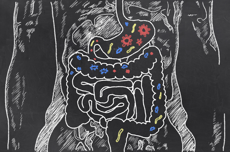 Kada antibiotik i dobre bakterije počnu vezu ...