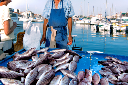 Konzumiranje masne ribe smanjuje rizik od dijabetičke retinopatije