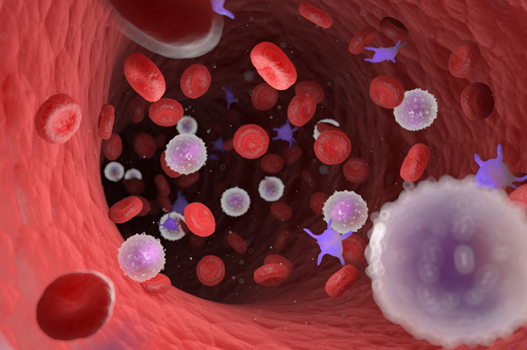 Makrofagi porijeklom iz monocita igraju ključnu ulogu u regeneraciji jetre