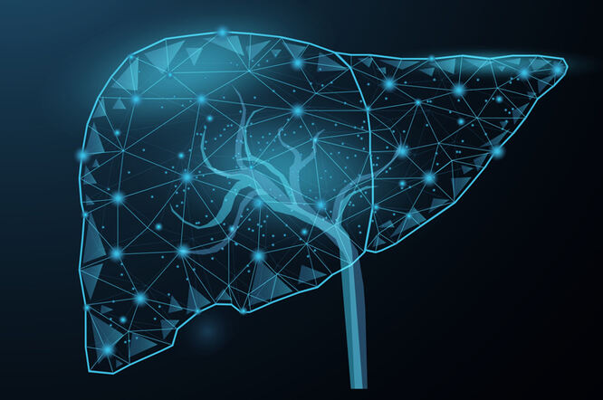 Masna hrana reprogramira hepatocite i povećava rizik od raka jetre