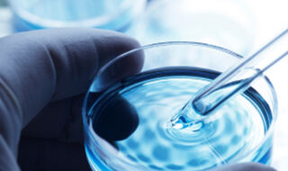 Metabolički putevi potiču progresiju od lezija gušterače do raka