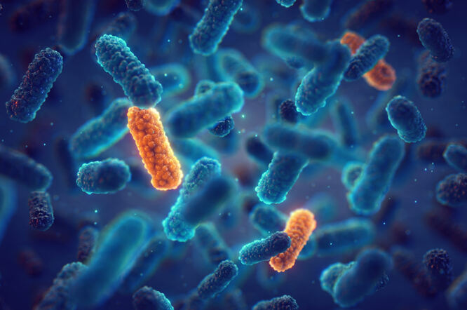 Mikroplastika potiče otpornost bakterija na antibiotike
