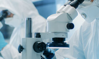 Neravnoteža crijevnog mikrobioma povezana s pogoršanjem bolesti bubrega