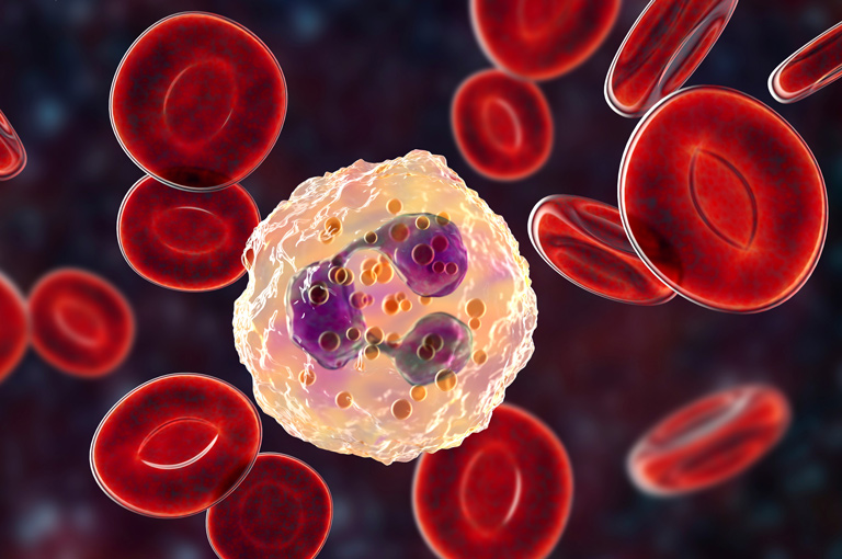 Neutrofilni peptid može pokrenuti opasne srčane aritmije
