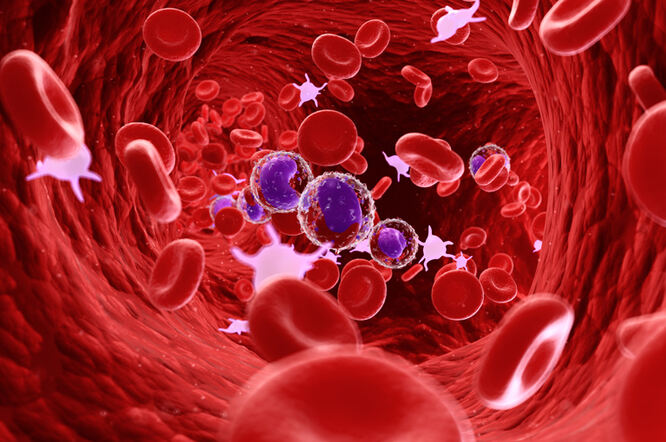 Niske razine željeza u krvi mogu pridonijeti dugotrajnom COVID-19