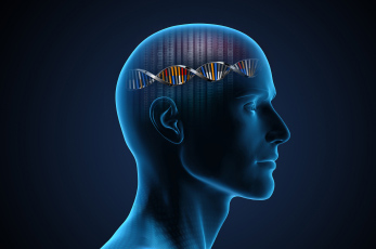 Otkrivena genetska preklapanja između pet mentalnih poremećaja