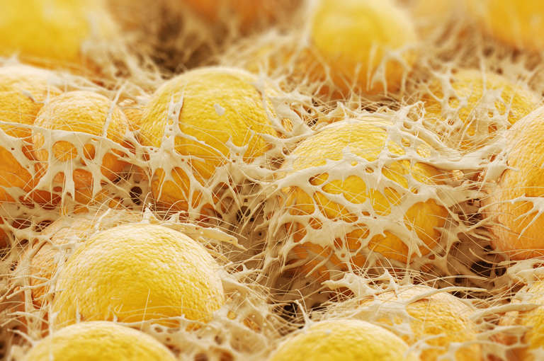 Otkrivena jedinstvena uloga masnog tkiva smještenog duž debelog crijeva