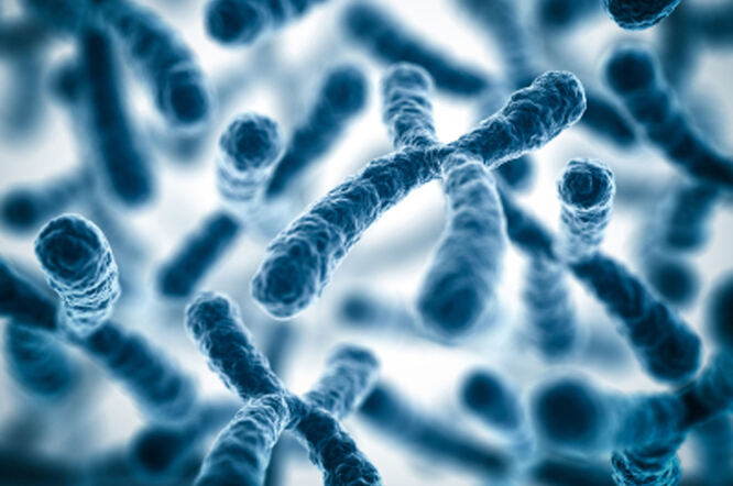 Otkriveni geni i proteini ​povezani s nastankom dijabetesa tipa 2