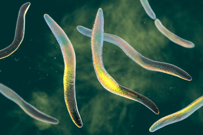 Parodontalno bakterijsko opterećenje povezano s težinom bolesti kod multiple skleroze