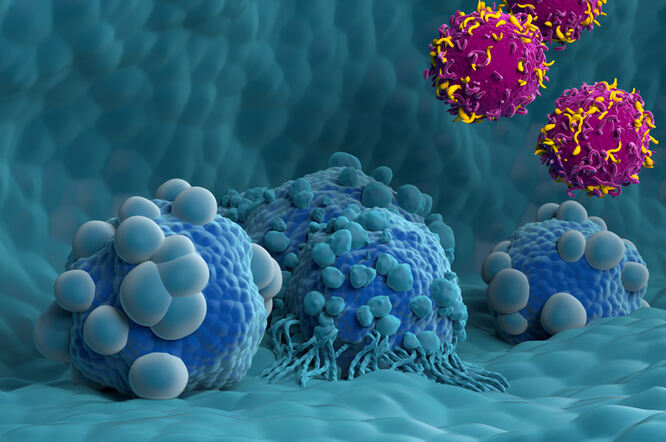 Primjena CAR-T stanica u borbi protiv raznih bolesti 