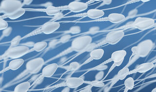 Promjene sperme povezane sa starenjem povezane s rizikom od autizma