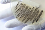 Protiv MRSA-e linezolidom?
